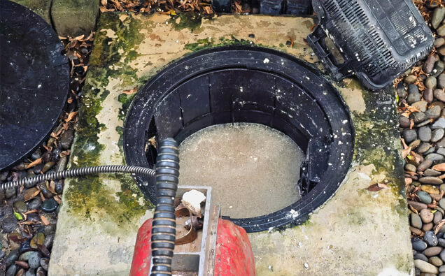 https://plumberosbornepark.com.au/uploads/2025/06/blocked-drains-820453.jpg